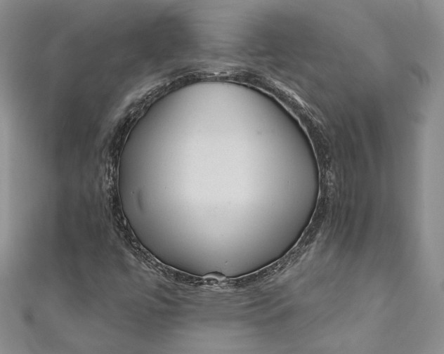 X0000110881447200907021447