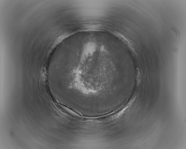 X0000110881449200907021447