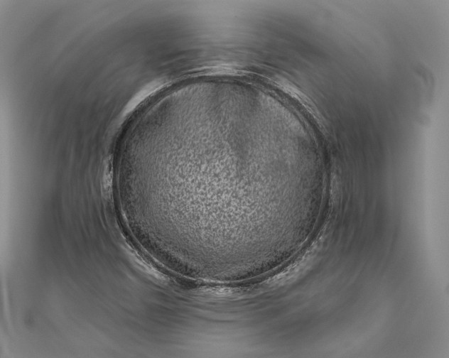 X0000110881450200907021447