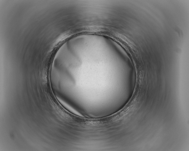 X0000110881451200907021447
