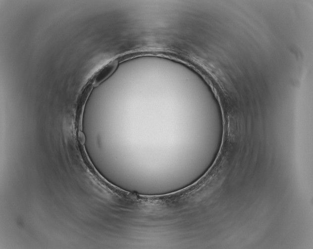 X0000110881452200907021447