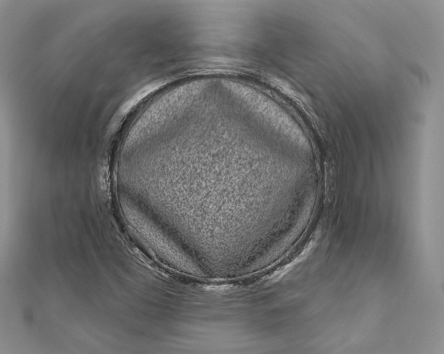 X0000110881453200907021447