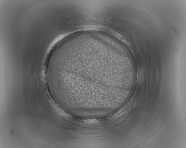 X0000110881454200907021447