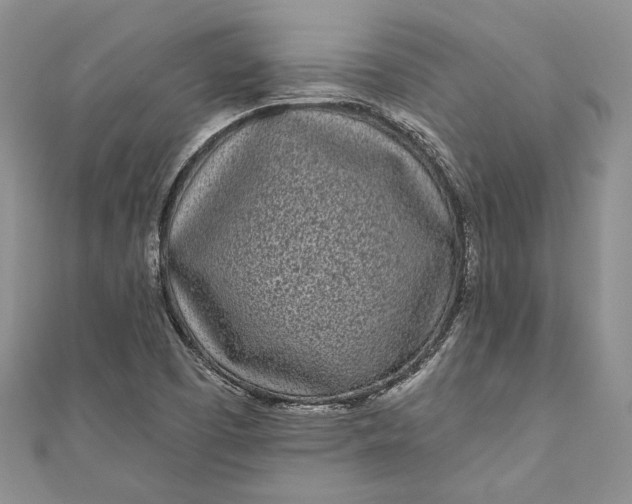 X0000110881457200907021447