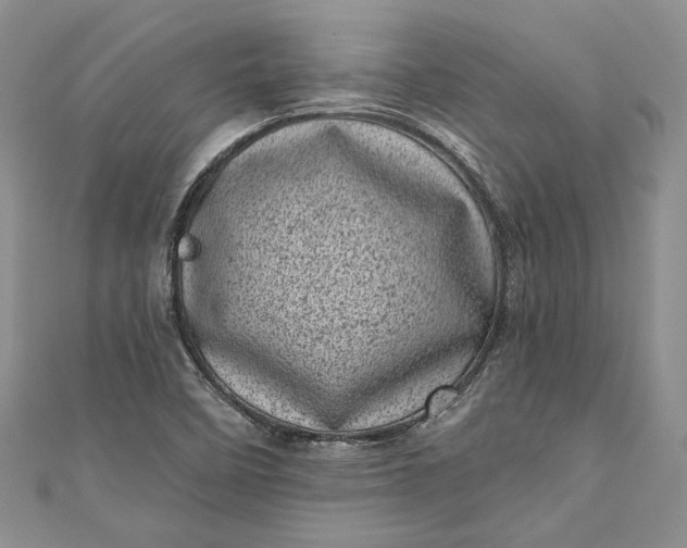 X0000110881458200907021447