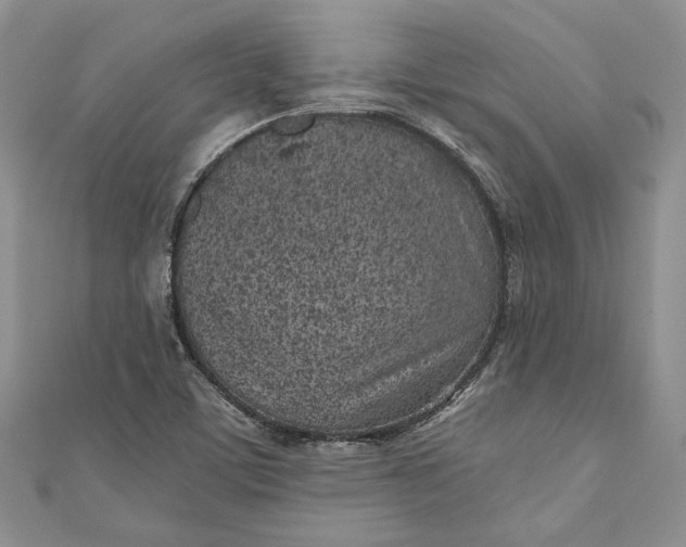 X0000110881459200907021447