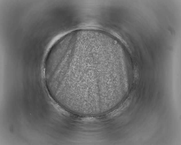 X0000110881462200907021447