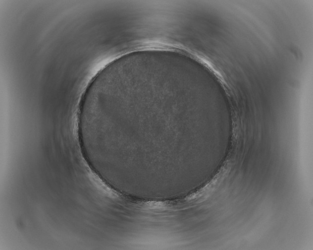X0000110881463200907021447