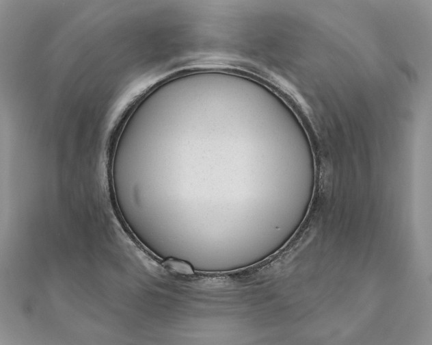 X0000110881464200907021447