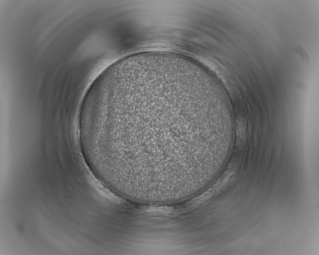 X0000110881466200907021447
