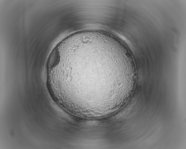 X0000110881467200907021447