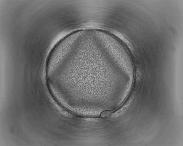 X0000110881469200907021447