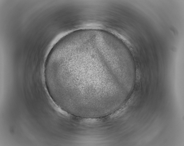 X0000110881470200907021447