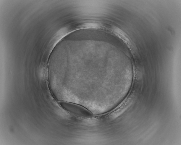 X0000110881473200907021447