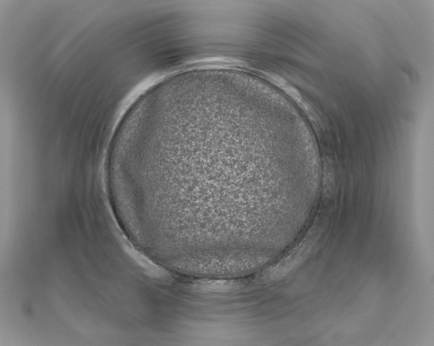 X0000110881474200907021447