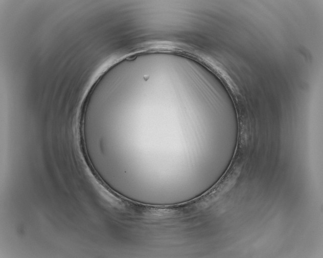 X0000110881475200907021447