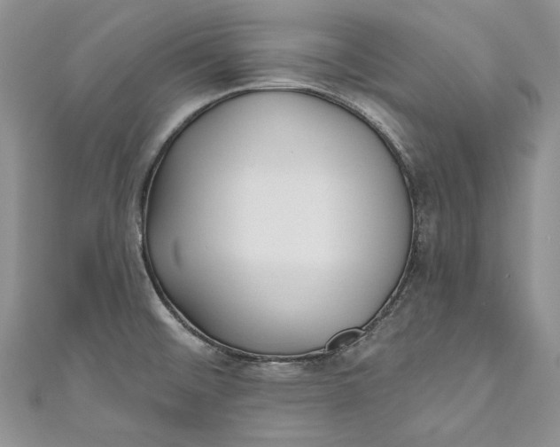 X0000110881476200907021447