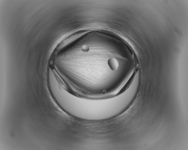 X0000110881477200907021447