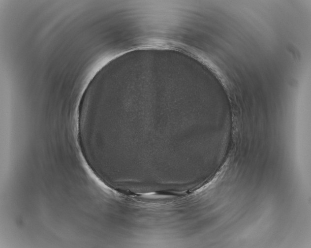 X0000110881479200907021447