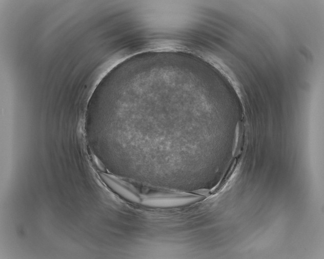 X0000110881481200907021447