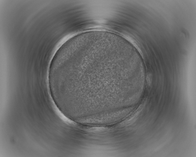 X0000110881482200907021447