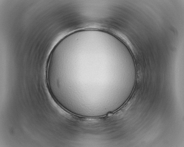 X0000110881483200907021447