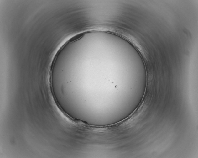 X0000110881484200907021447