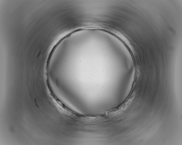 X0000110881485200907021447