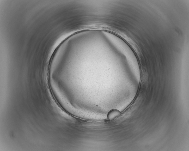 X0000110881486200907021447