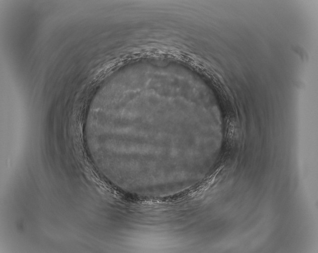 X0000110881489200907021446
