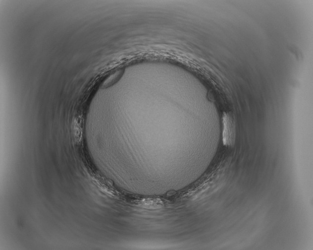 X0000110881491200907021446