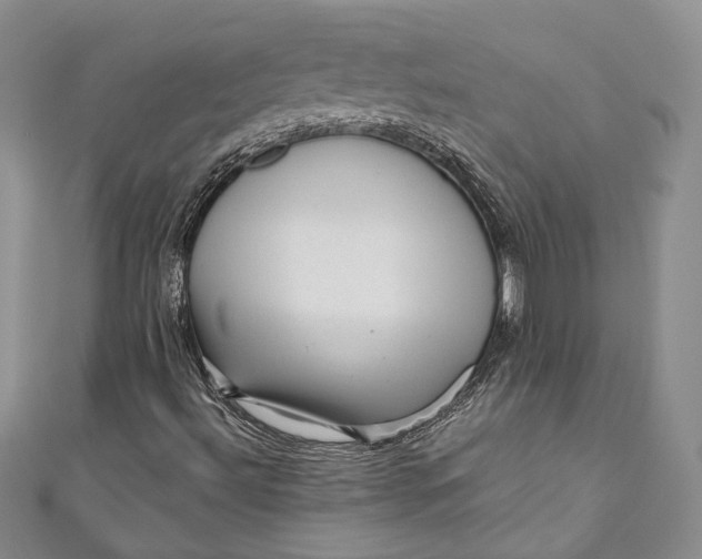 X0000110881492200907021446