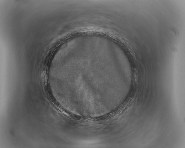 X0000110881493200907021446
