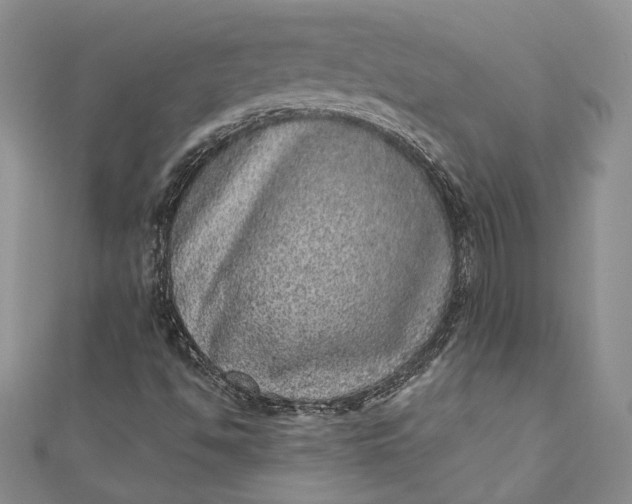 X0000110881494200907021446