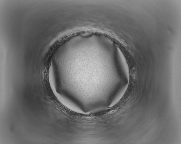 X0000110881495200907021446