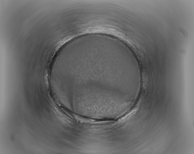 X0000110881497200907021446
