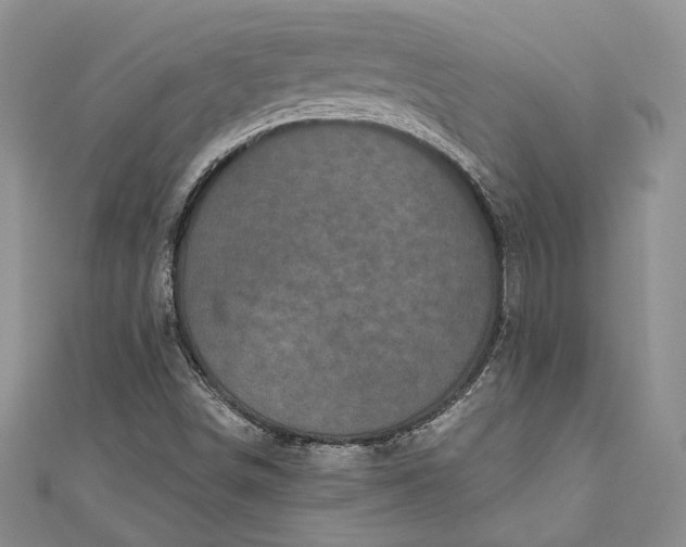 X0000110881498200907021446