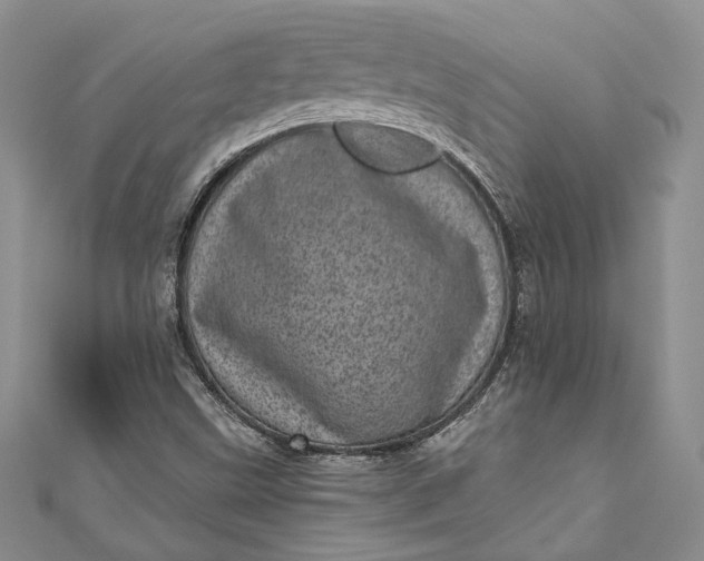 X0000110881499200907021446