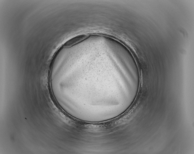 X0000110881500200907021446