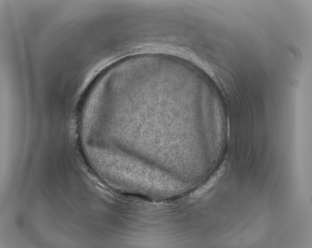 X0000110881501200907021446