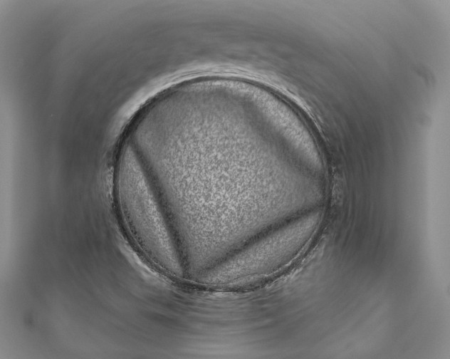 X0000110881503200907021446