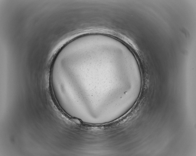 X0000110881504200907021446