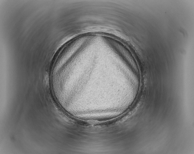 X0000110881505200907021446
