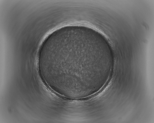 X0000110881506200907021446