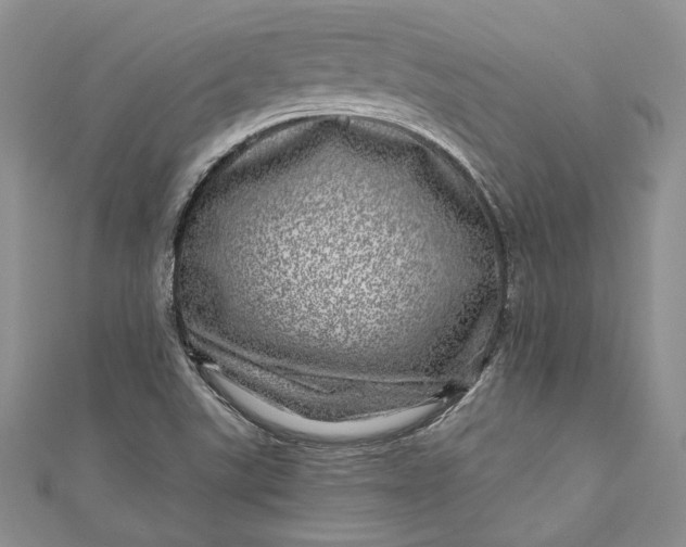 X0000110881507200907021446