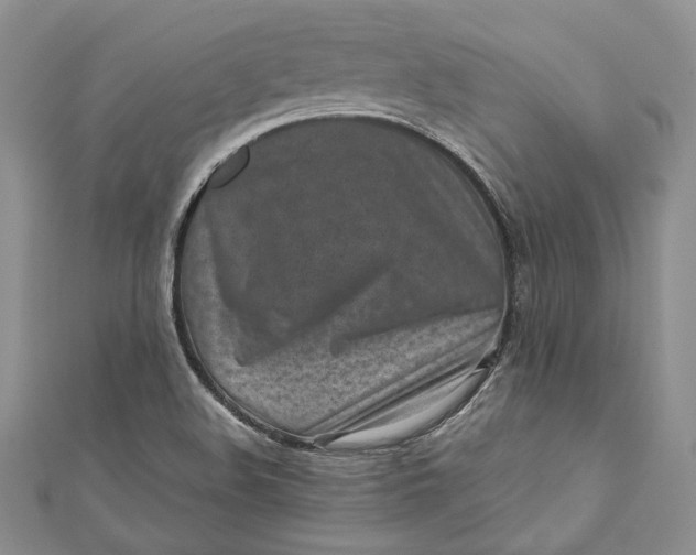X0000110881508200907021446