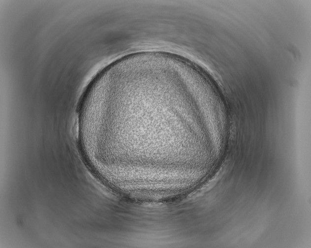 X0000110881509200907021446