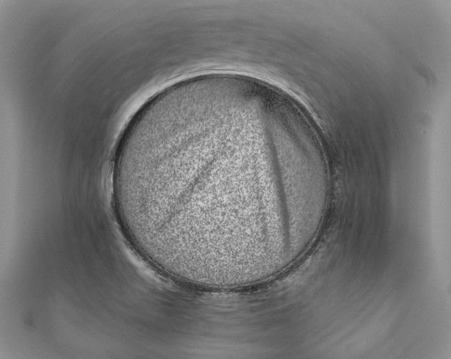 X0000110881511200907021446