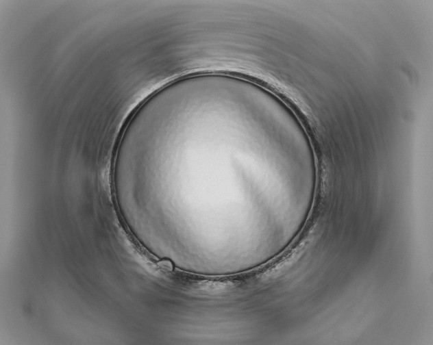 X0000110881513200907021446