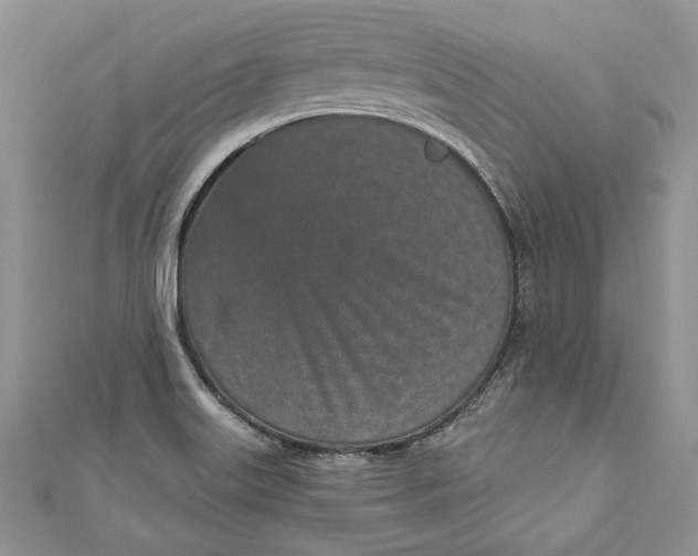 X0000110881515200907021446